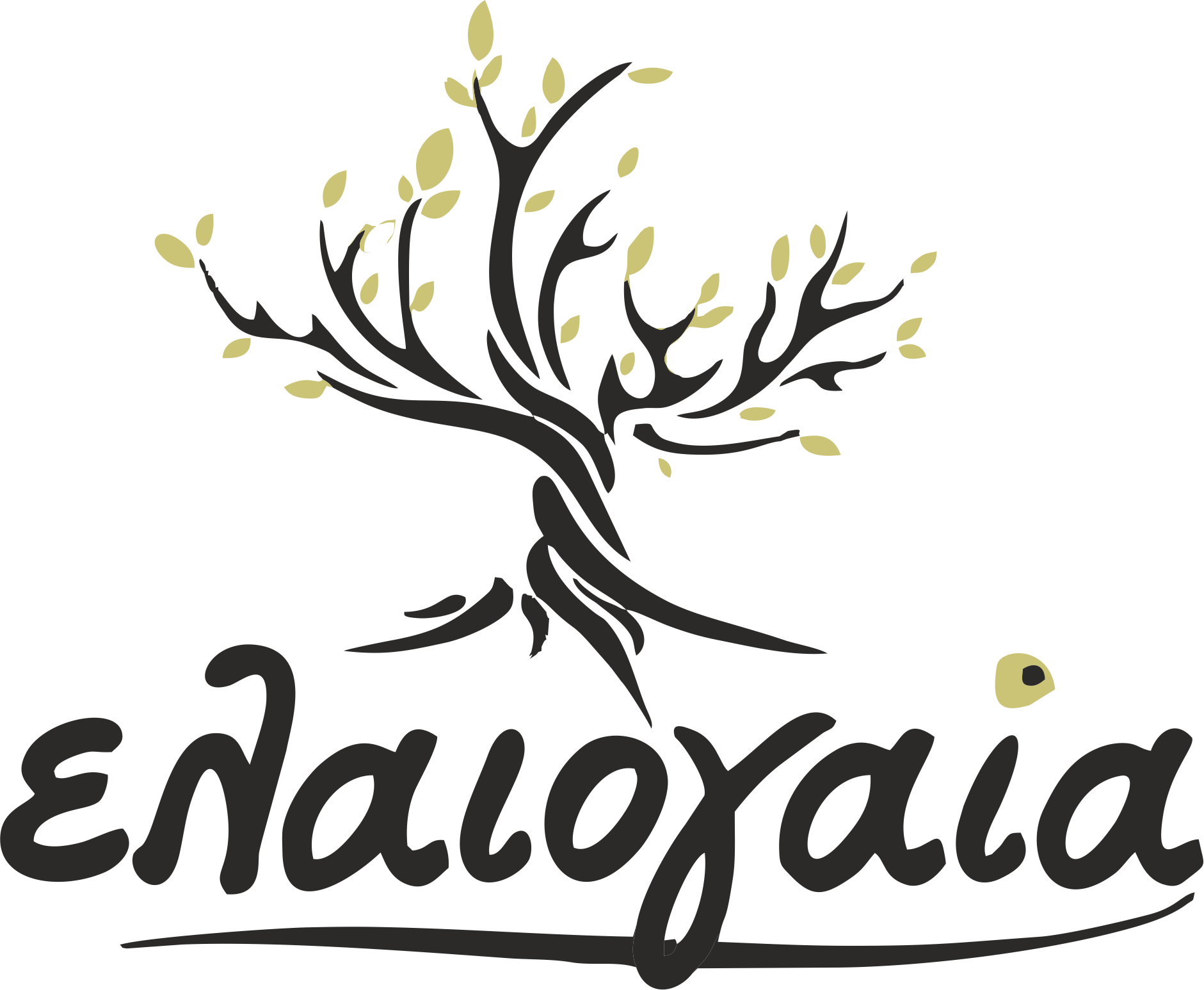 ElaioGaia – Premium Olive Products